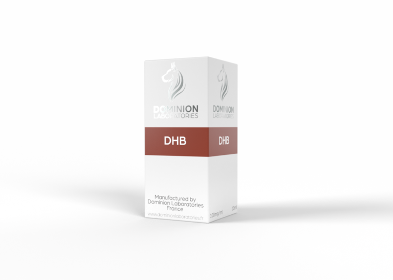 dhb-Camera 3